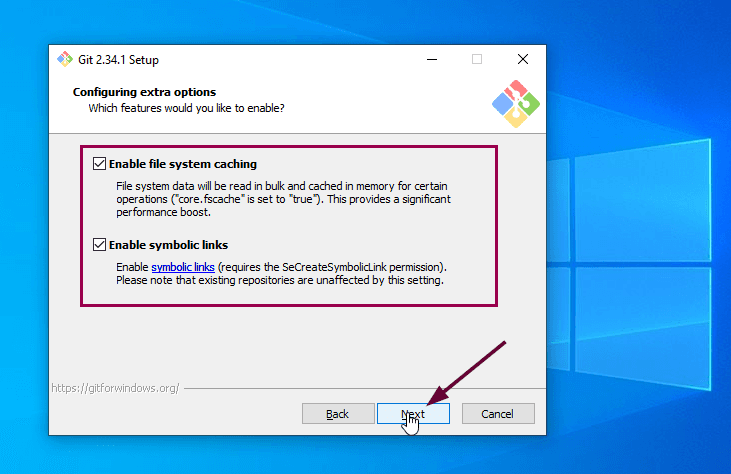 install-git-launcher-extra-options