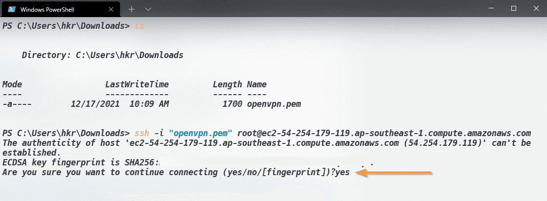 type-yes-for-ssh-key-confirmation